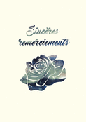 Sinc&egrave;res remerciements avec une rose bleue